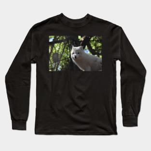 Arctic Fox Long Sleeve T-Shirt